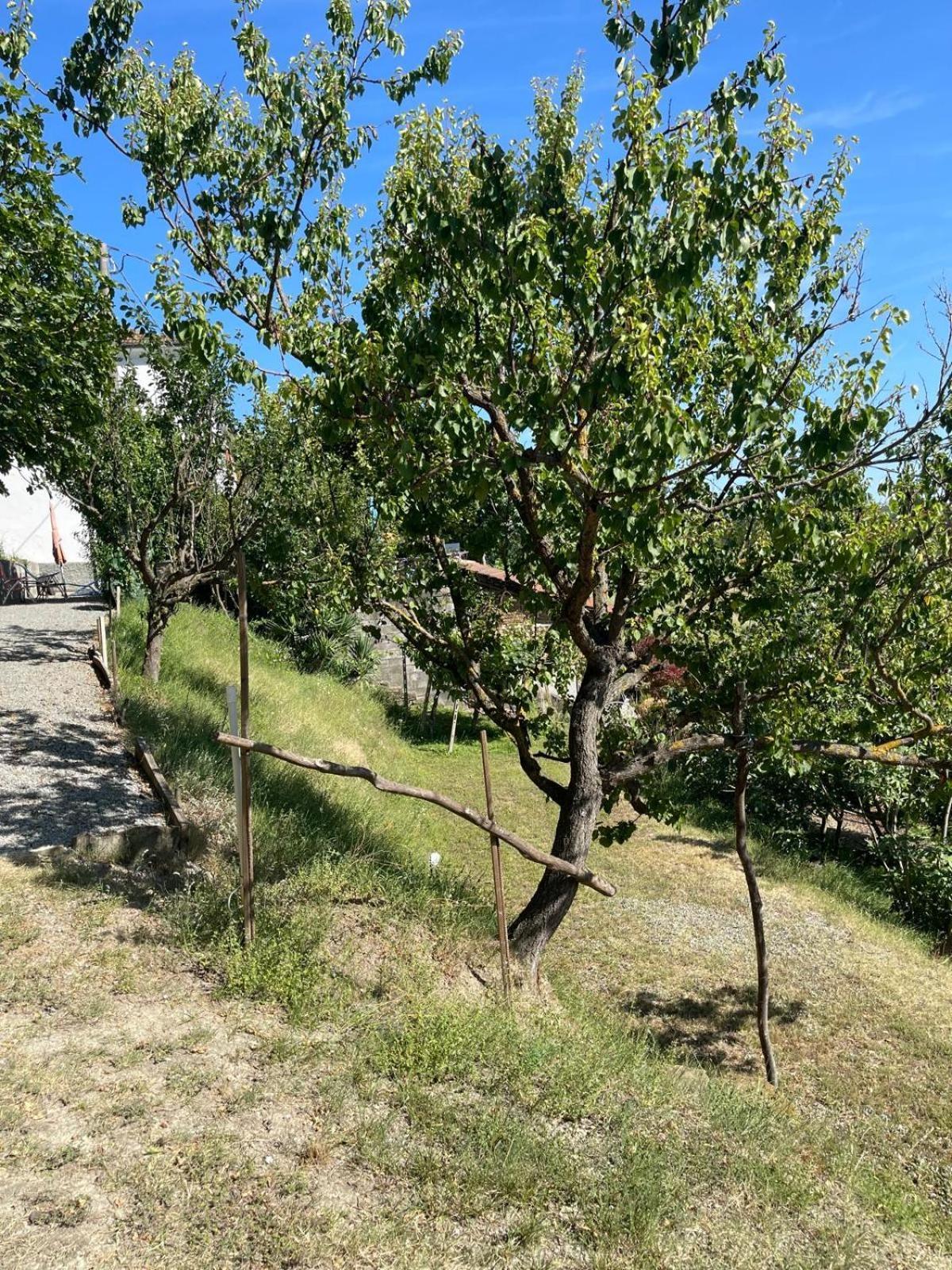 Casa Petra - Casa Tre Stelle - Casa Caneva - Ferien Fuer 6-14 Personen Ponti Екстер'єр фото